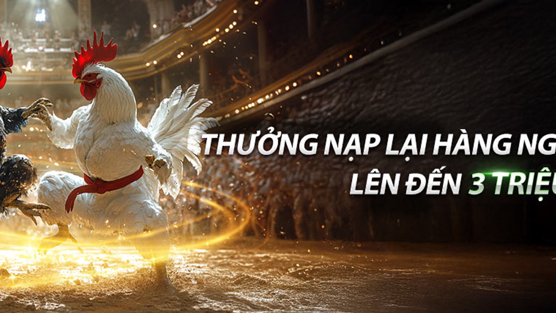 Hình ảnh tiền hoàn trả hàng ngày Kuwin789