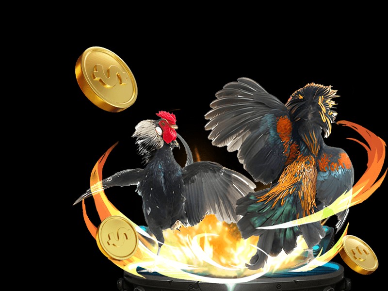 Ưu đãi theo mùa và lễ hội kuwin789